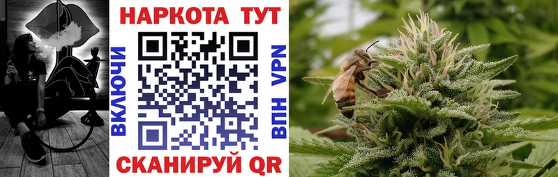 Где найти наркотики Кудрово Конопля  КОКАИН  Галлюциногенные грибы  Мефедрон  ГАШИШ 