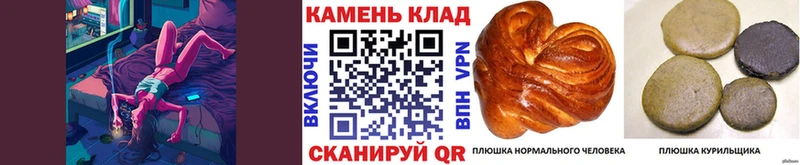 Гашиш Premium Кудрово