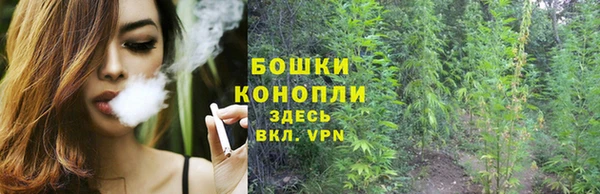 твердый Белокуриха