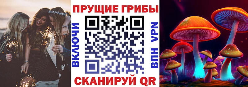 цены   Кудрово  Псилоцибиновые грибы мухоморы 